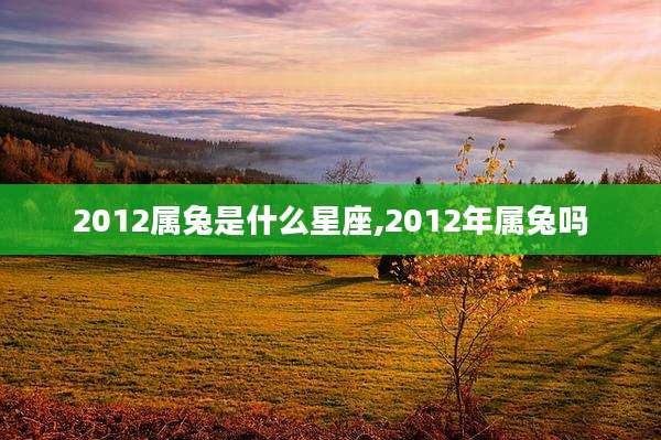 2012属兔是什么星座,2012年属兔吗