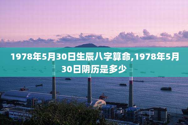 1978年5月30日生辰八字算命,1978年5月30日阴历是多少