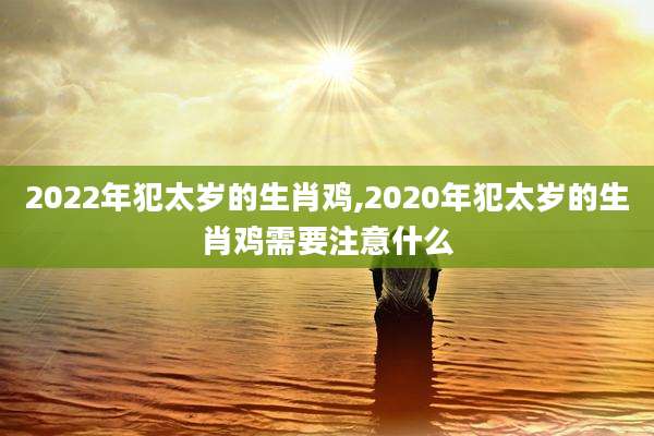 2022年犯太岁的生肖鸡,2020年犯太岁的生肖鸡需要注意什么