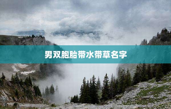男双胞胎带水带草名字