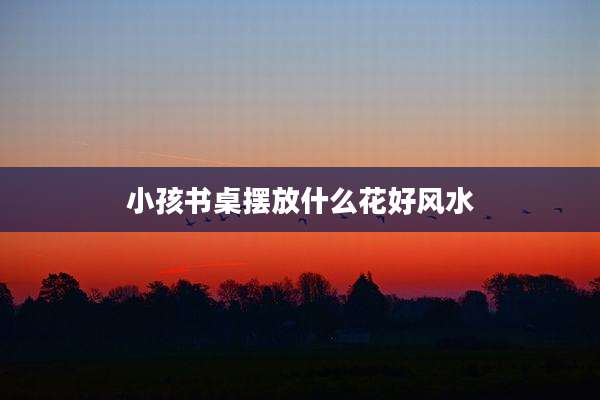 小孩书桌摆放什么花好风水