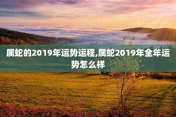 属蛇的2019年运势运程,属蛇2019年全年运势怎么样