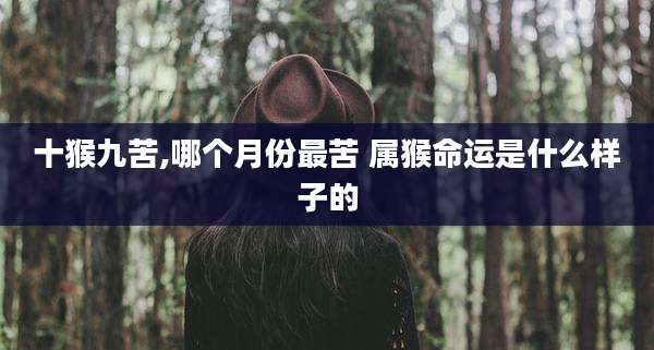 十猴九苦,哪个月份最苦 属猴命运是什么样子的