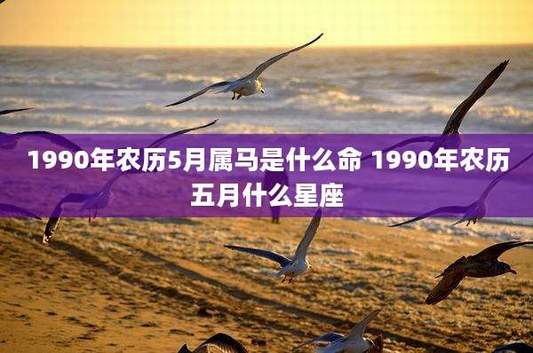1990年农历5月属马是什么命 1990年农历五月什么星座