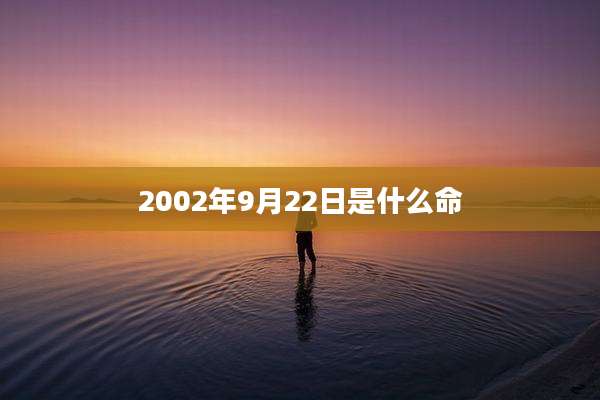 2002年9月22日是什么命