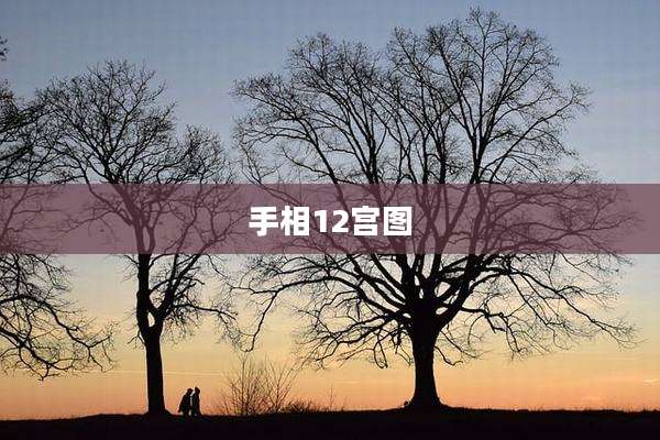 手相12宫图