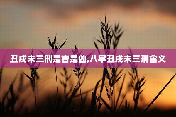 丑戌未三刑是吉是凶,八字丑戌未三刑含义
