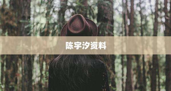 陈宇汐资料