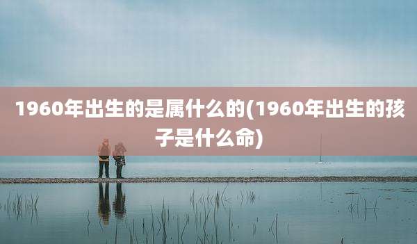 1960年出生的是属什么的(1960年出生的孩子是什么命)
