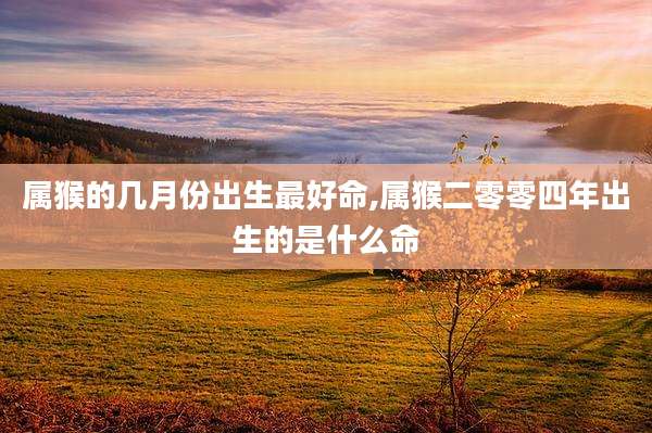 属猴的几月份出生最好命,属猴二零零四年出生的是什么命