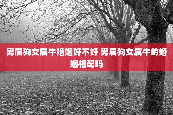 男属狗女属牛婚姻好不好 男属狗女属牛的婚姻相配吗