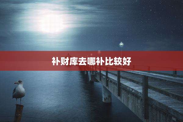 补财库去哪补比较好