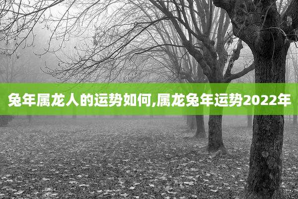 兔年属龙人的运势如何,属龙兔年运势2022年