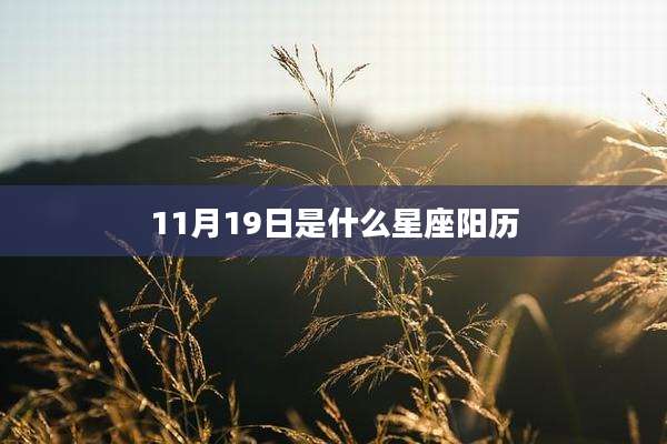 11月19日是什么星座阳历