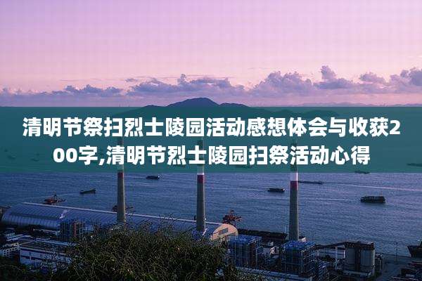 清明节祭扫烈士陵园活动感想体会与收获200字,清明节烈士陵园扫祭活动心得