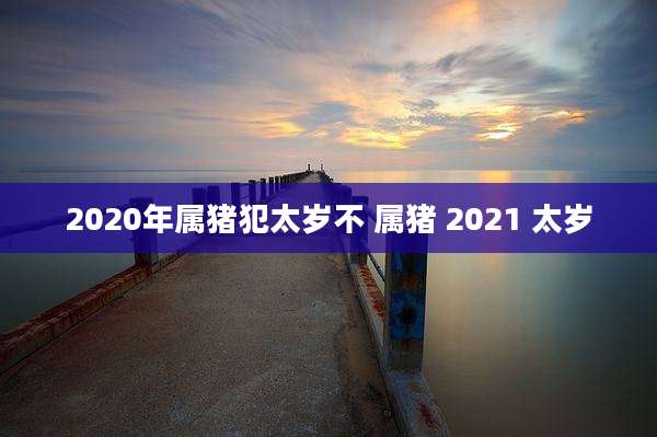 2020年属猪犯太岁不 属猪 2021 太岁