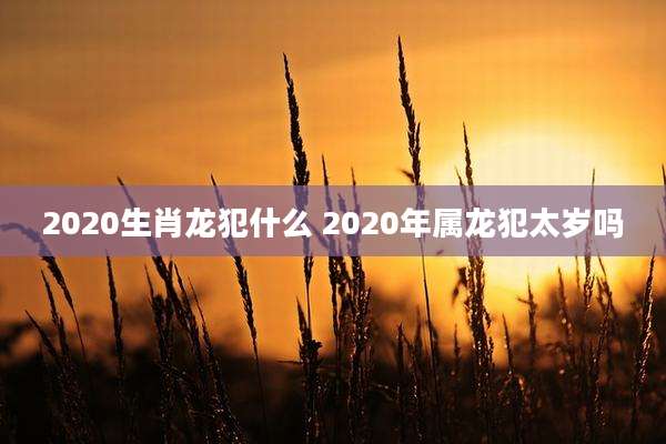 2020生肖龙犯什么 2020年属龙犯太岁吗