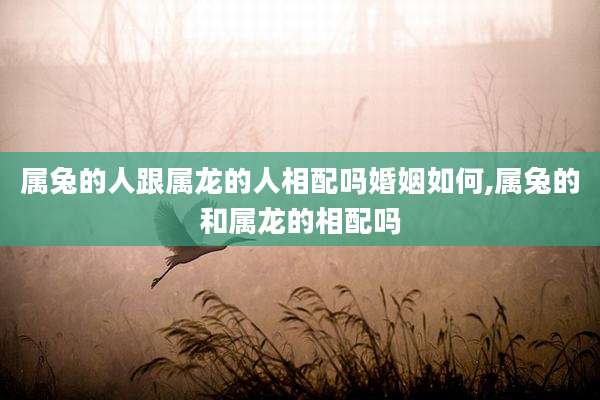 属兔的人跟属龙的人相配吗婚姻如何,属兔的和属龙的相配吗