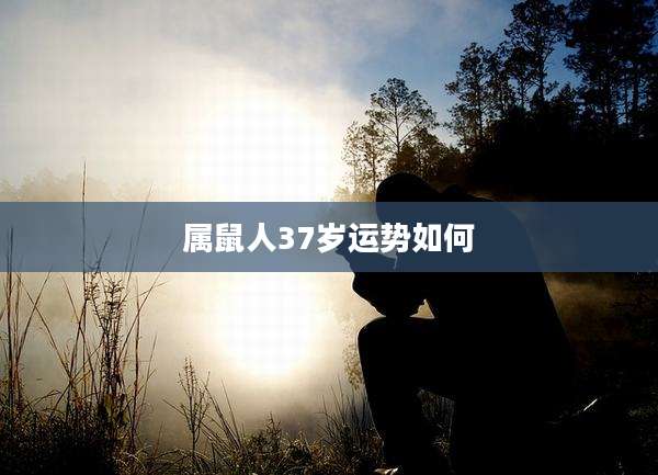 属鼠人37岁运势如何