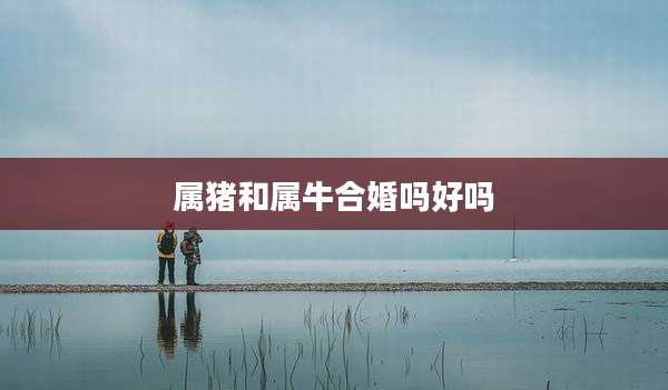 属猪和属牛合婚吗好吗
