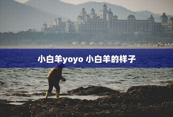 小白羊yoyo 小白羊的样子