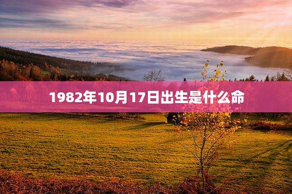 1982年10月17日出生是什么命