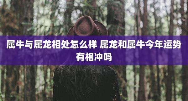 属牛与属龙相处怎么样 属龙和属牛今年运势有相冲吗