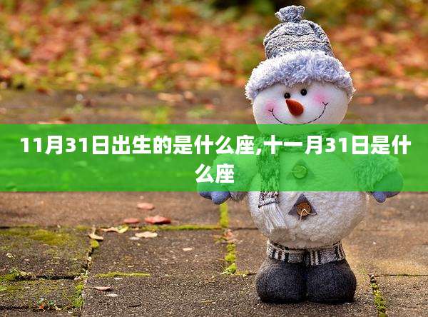 11月31日出生的是什么座,十一月31日是什么座