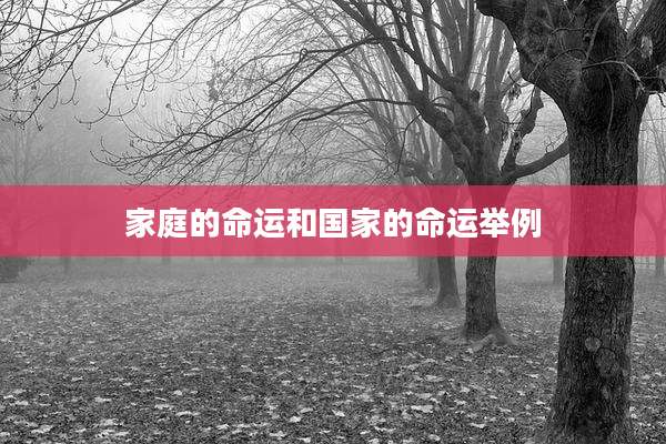 家庭的命运和国家的命运举例
