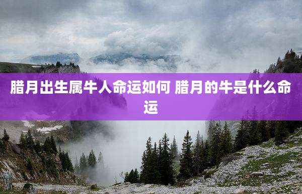 腊月出生属牛人命运如何 腊月的牛是什么命运