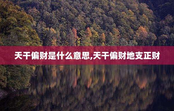 天干偏财是什么意思,天干偏财地支正财