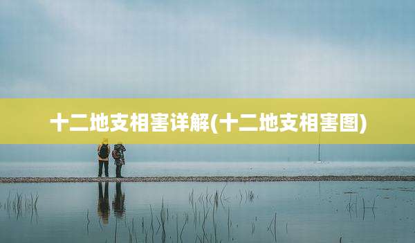 十二地支相害详解(十二地支相害图)