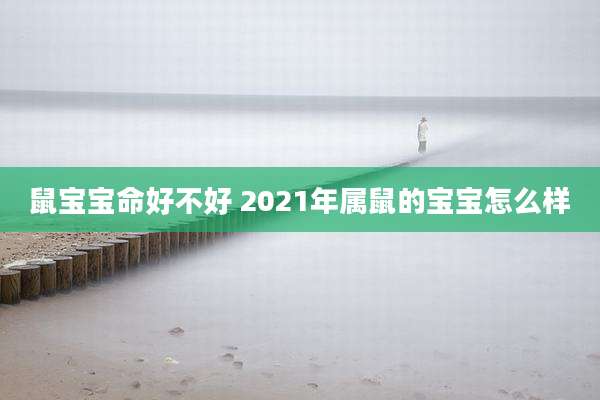 鼠宝宝命好不好 2021年属鼠的宝宝怎么样