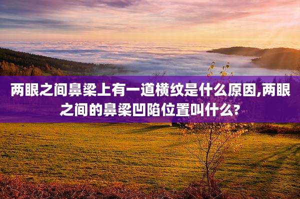 两眼之间鼻梁上有一道横纹是什么原因,两眼之间的鼻梁凹陷位置叫什么?