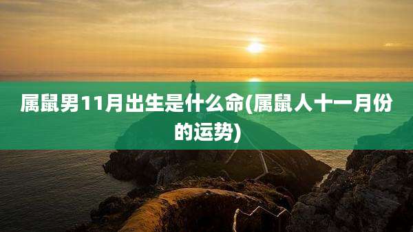 属鼠男11月出生是什么命(属鼠人十一月份的运势)