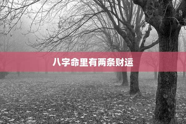 八字命里有两条财运