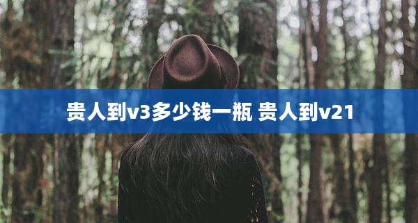 贵人到v3多少钱一瓶 贵人到v21