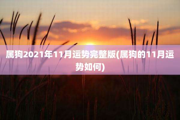 属狗2021年11月运势完整版(属狗的11月运势如何)