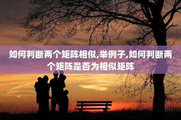 如何判断两个矩阵相似,举例子,如何判断两个矩阵是否为相似矩阵