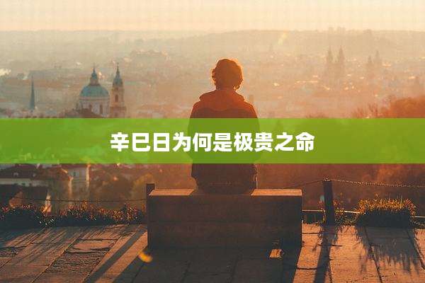 辛巳日为何是极贵之命