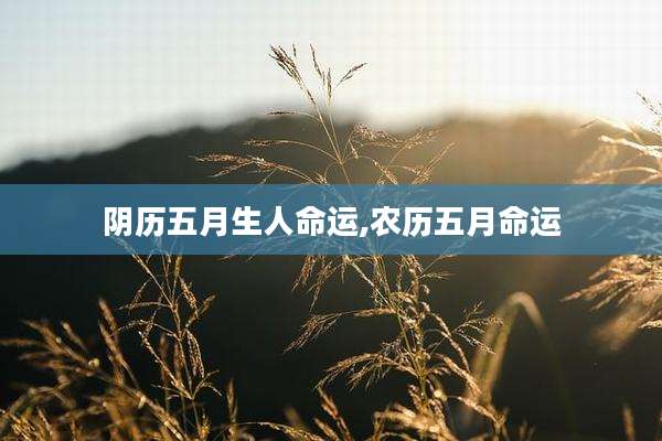 阴历五月生人命运,农历五月命运