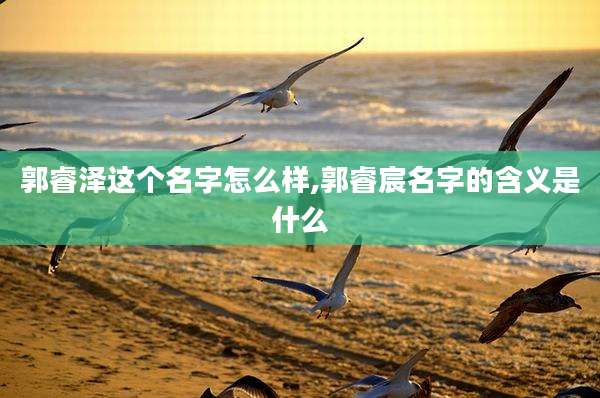 郭睿泽这个名字怎么样,郭睿宸名字的含义是什么