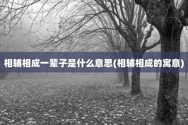相辅相成一辈子是什么意思(相辅相成的寓意)