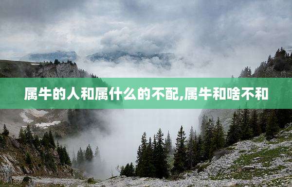 属牛的人和属什么的不配,属牛和啥不和