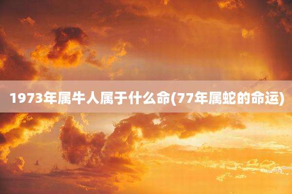 1973年属牛人属于什么命(77年属蛇的命运)