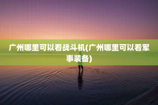 广州哪里可以看战斗机(广州哪里可以看军事装备)