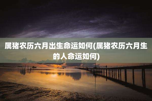 属猪农历六月出生命运如何(属猪农历六月生的人命运如何)