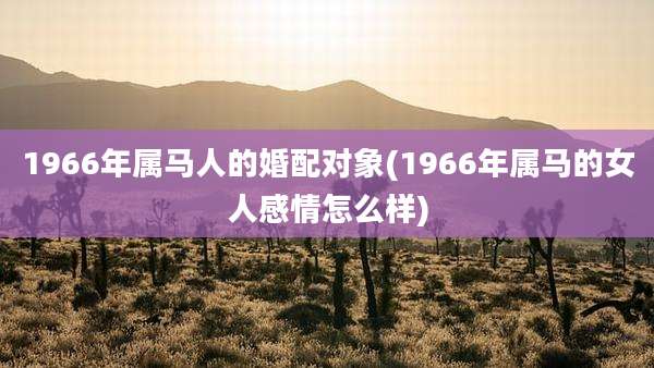 1966年属马人的婚配对象(1966年属马的女人感情怎么样)