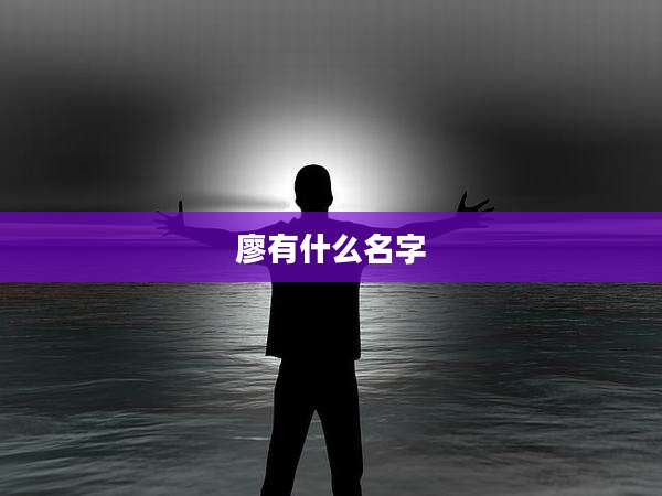 廖有什么名字