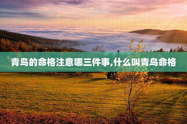 青鸟的命格注意哪三件事,什么叫青鸟命格